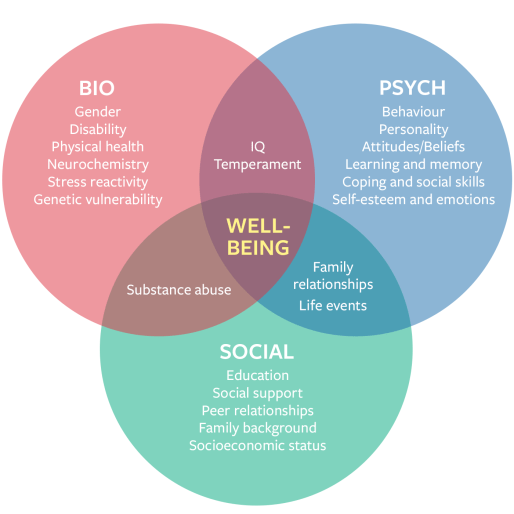 bio-psych-social-diagram